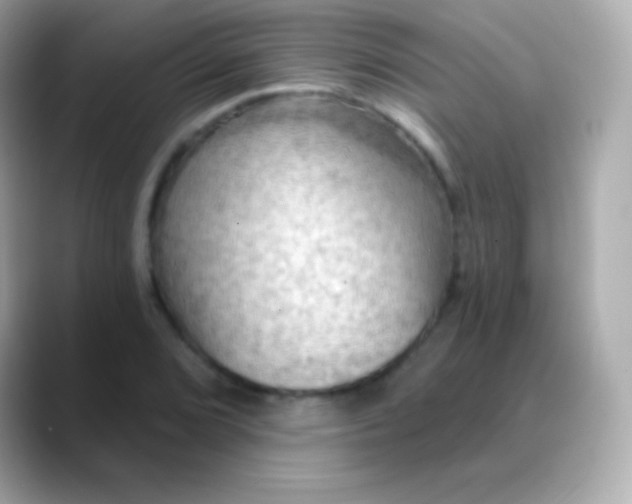 X0000088491072200706051414
