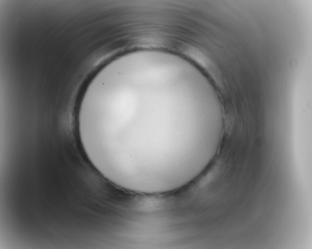 X0000088491074200706051414