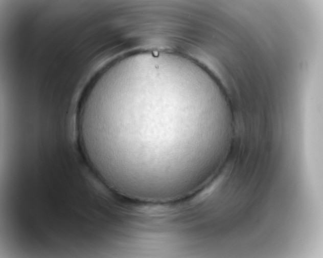 X0000088491075200706051414