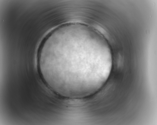 X0000088491076200706051414