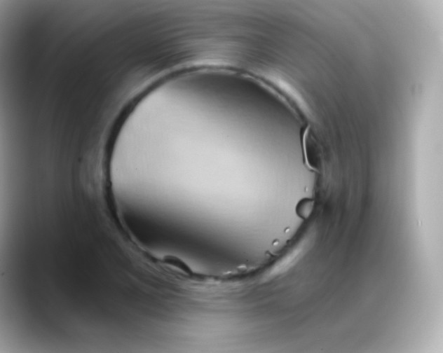 X0000088491077200706051414