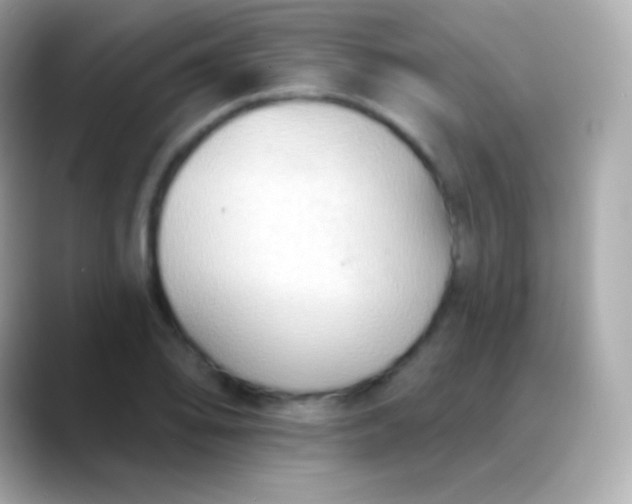 X0000088491078200706051414
