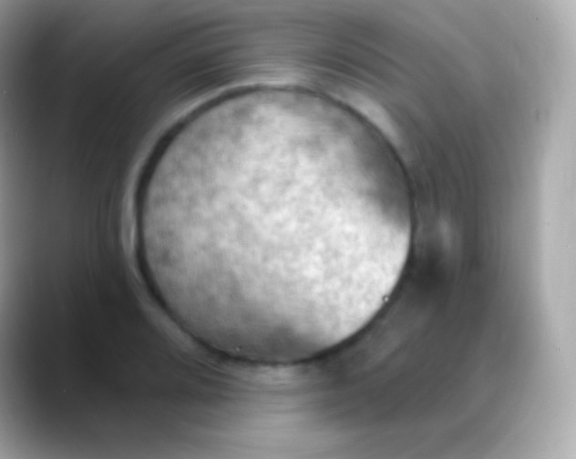 X0000088491080200706051414