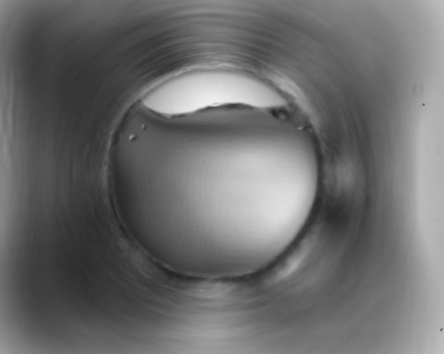 X0000088491081200706051414