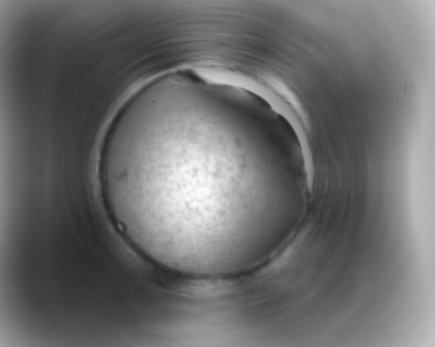 X0000088491091200706051414