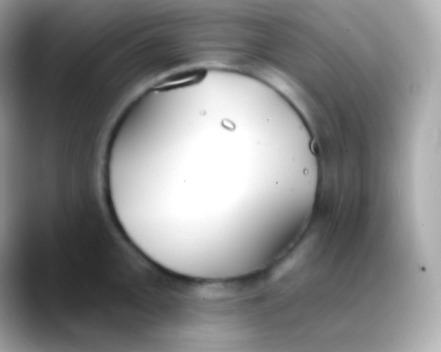 X0000088491093200706051414