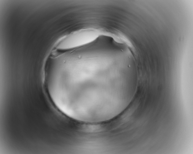 X0000088491095200706051414