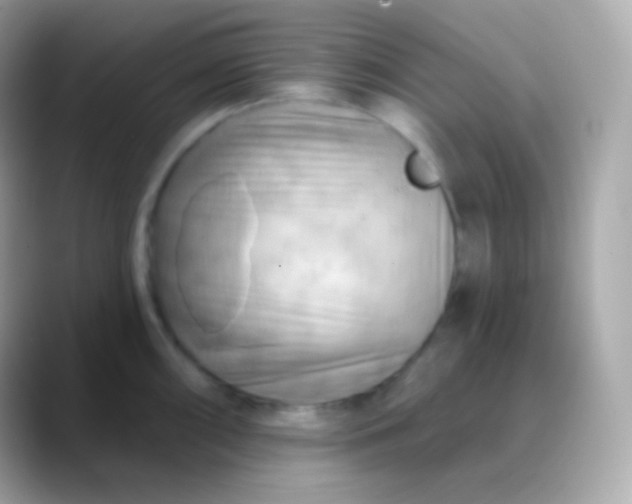 X0000088491098200706051414