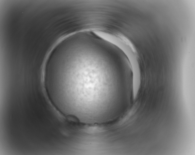 X0000088491099200706051414