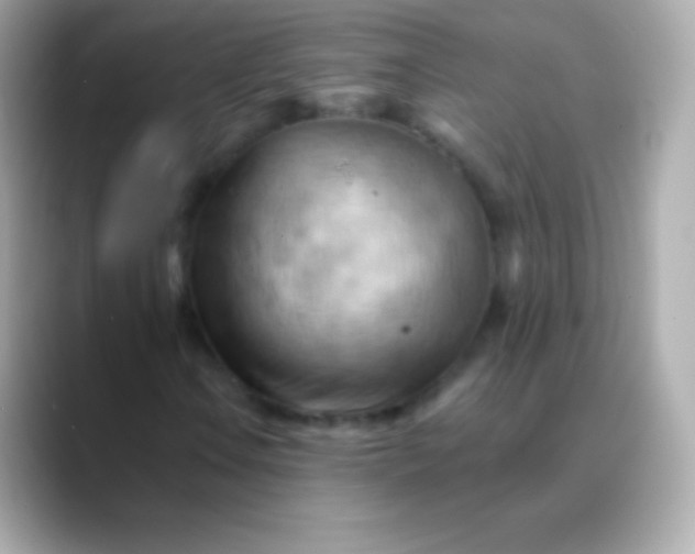X0000088491106200706051413
