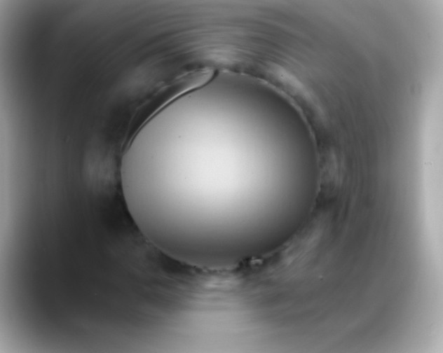 X0000088491110200706051413
