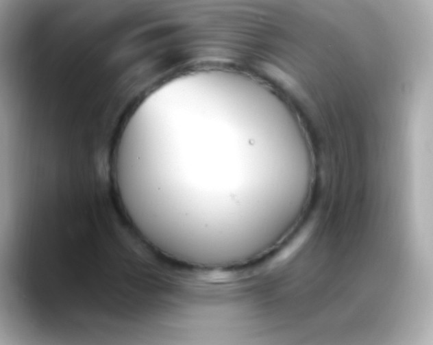 X0000088491113200706051413