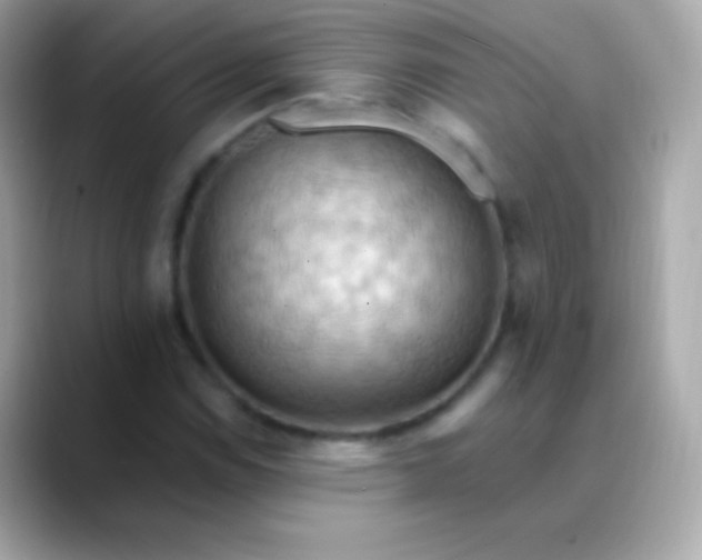 X0000088491114200706051413