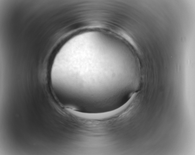 X0000088491116200706051413