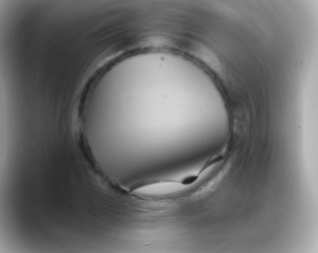 X0000088491117200706051413