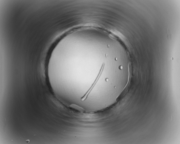 X0000088491120200706051413