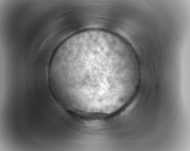 X0000088491121200706051413