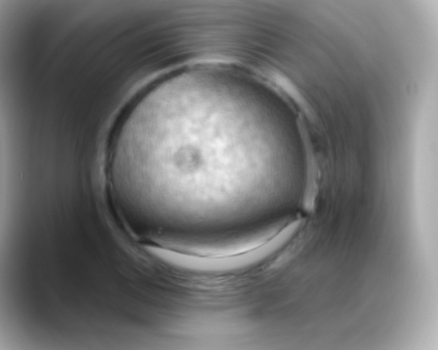 X0000088491124200706051413