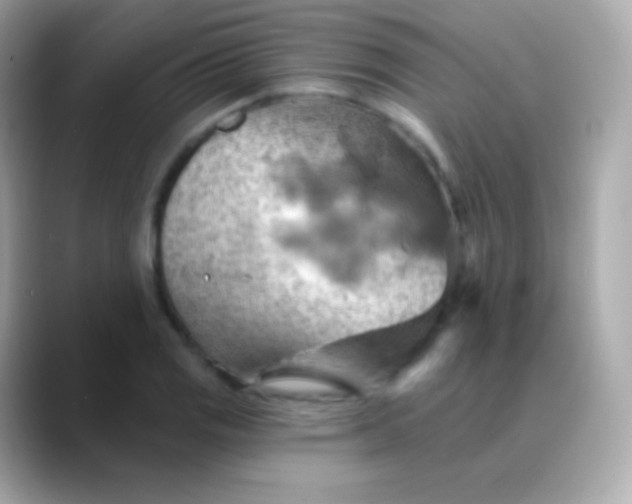 X0000088491125200706051413