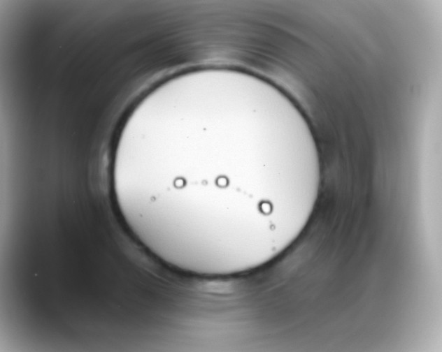 X0000088491126200706051413