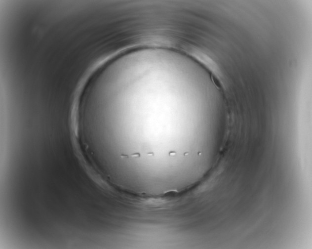 X0000088491128200706051413