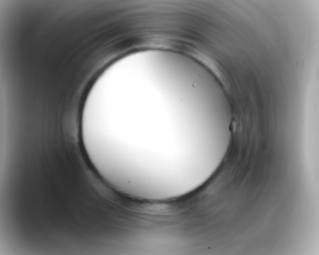 X0000088491131200706051413