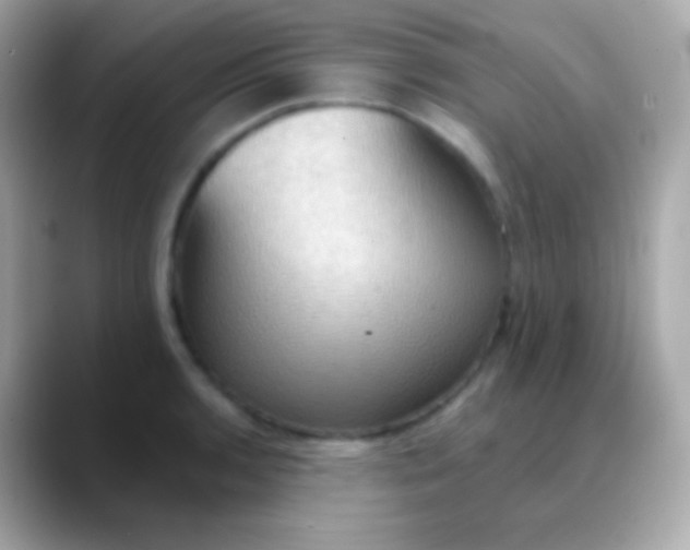 X0000088491136200706051413