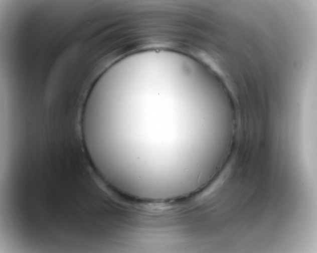 X0000088491137200706051413