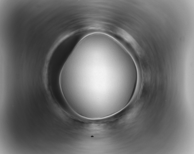 X0000088491138200706051413