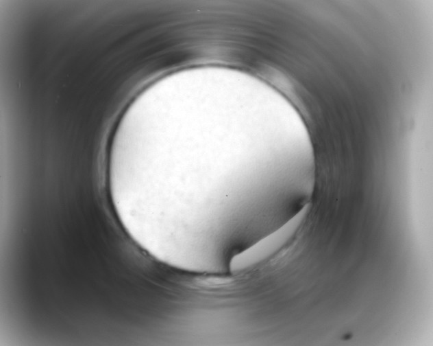 X0000088491140200706051413