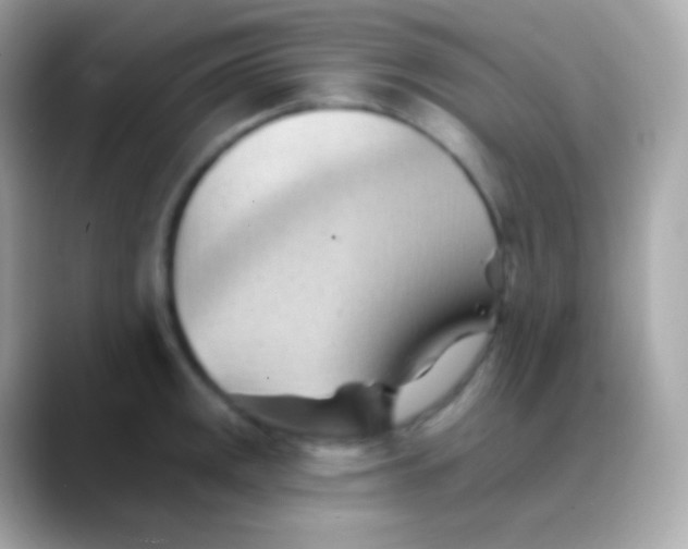 X0000088491141200706051413