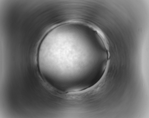 X0000088491148200706051414