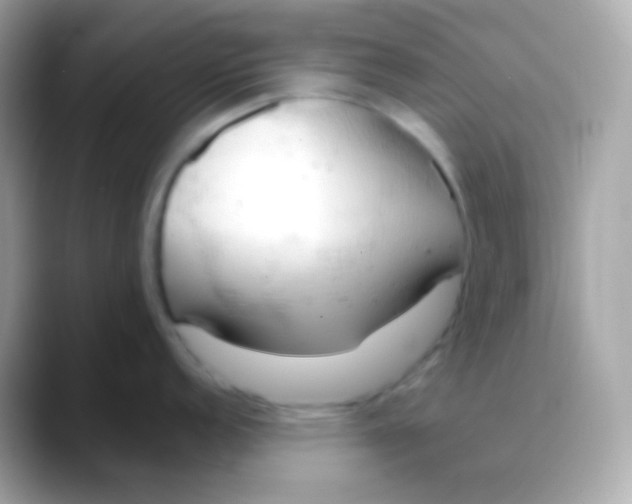 X0000088491152200706051414