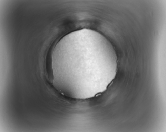 X0000088491153200706051413