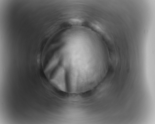 X0000088491154200706051413