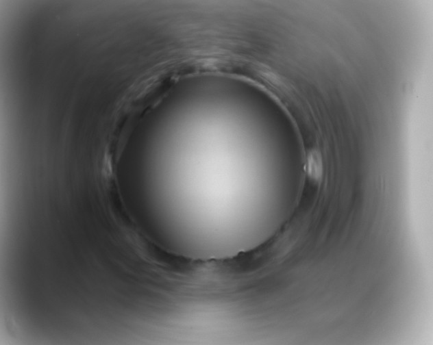 X0000088491155200706051413