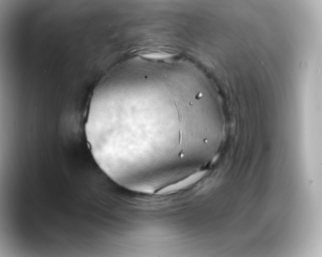 X0000088491156200706051413