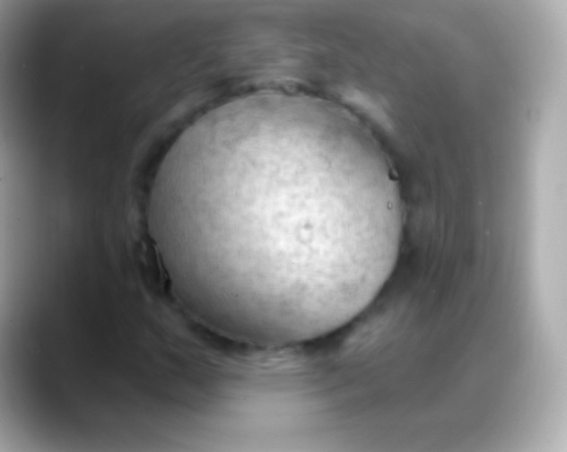 X0000088491159200706051413