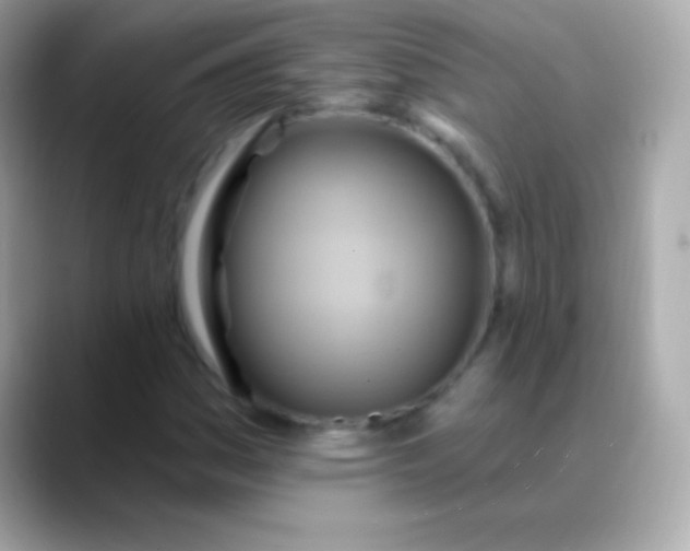 X0000088491161200706051413
