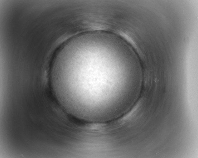 X0000088491163200706051413