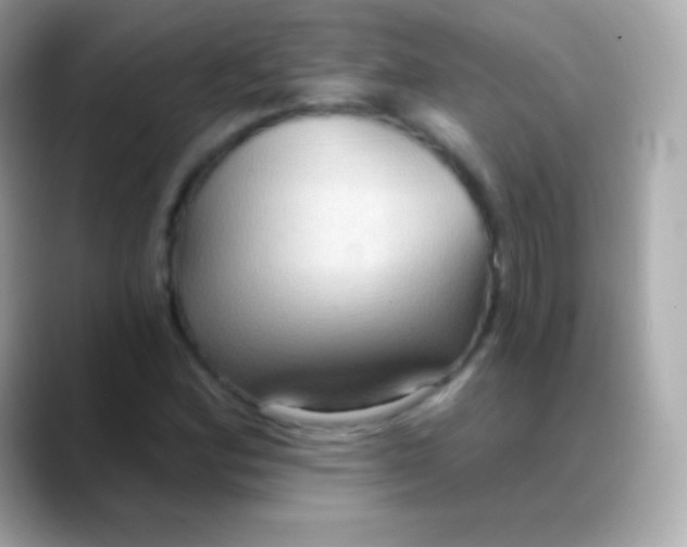 X0000088491164200706051413