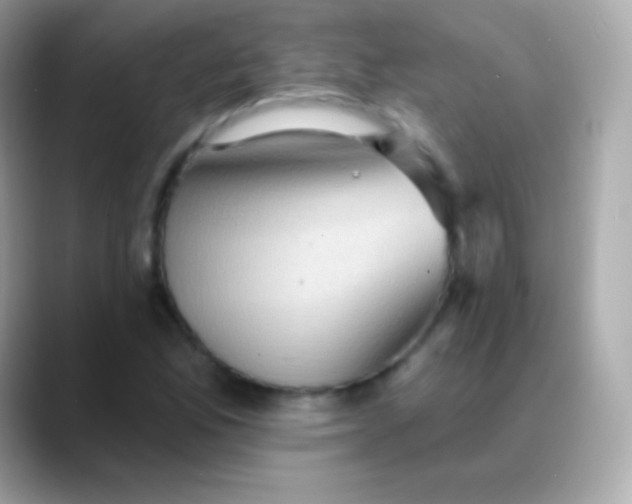 X0000088491165200706051413
