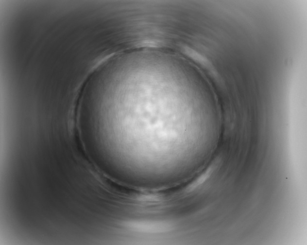 X0000088491170200706051413