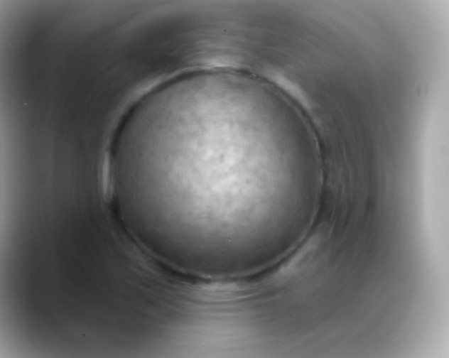 X0000088491171200706051413