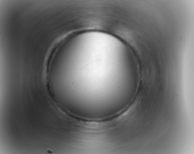 X0000088491172200706051413