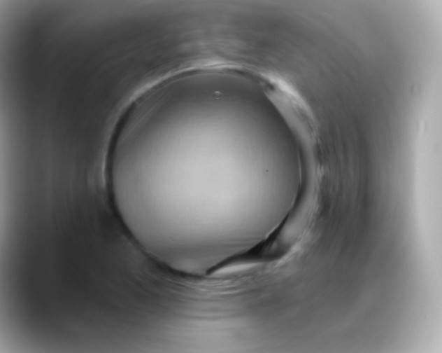X0000088491173200706051413