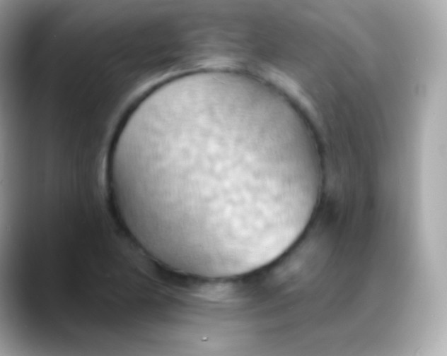 X0000088491174200706051413