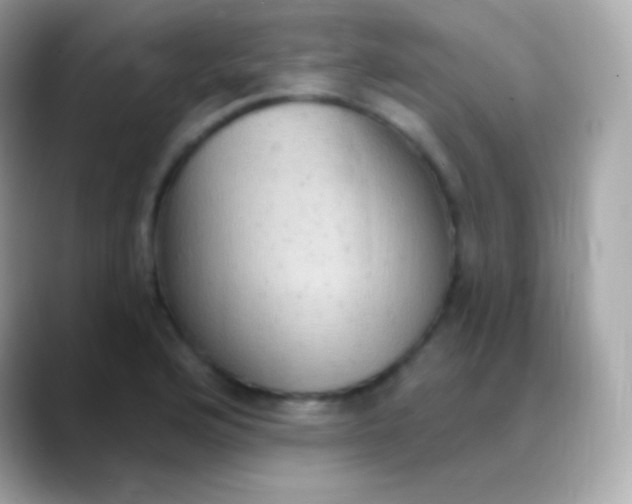 X0000088491176200706051413