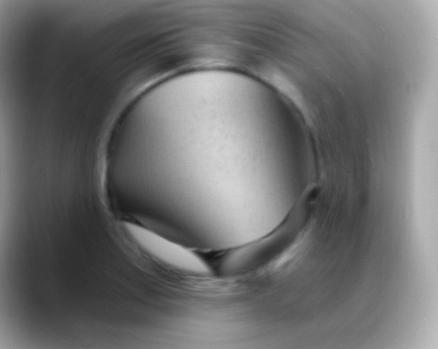 X0000088491179200706051413