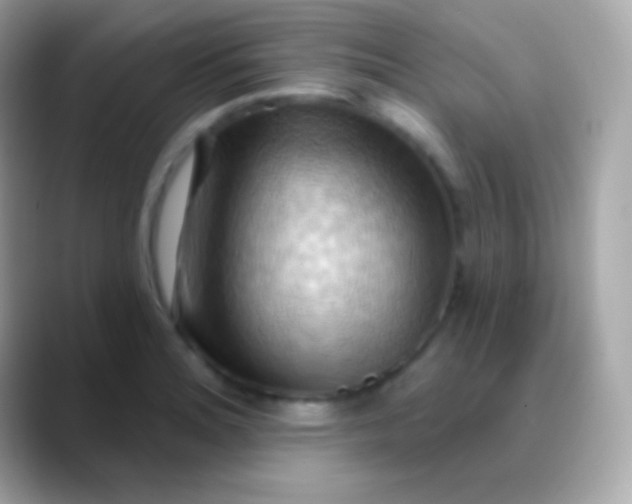 X0000088491180200706051413